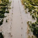 Apartamento Amsterdam