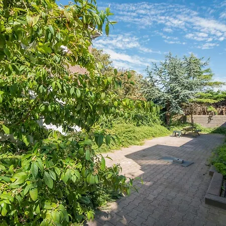 Apartamento Amsterdam Zandvoort