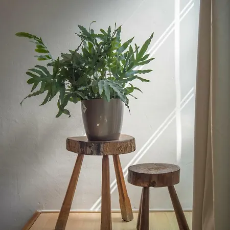 Amsterdam Apartment