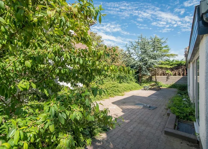 公寓 Amsterdam 赞德沃特